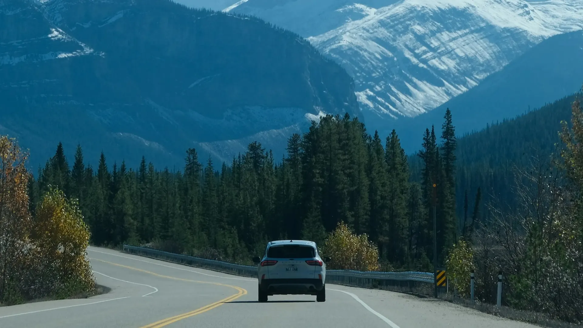 Car driving a mountain highway through pine forest below snow-covered peaks