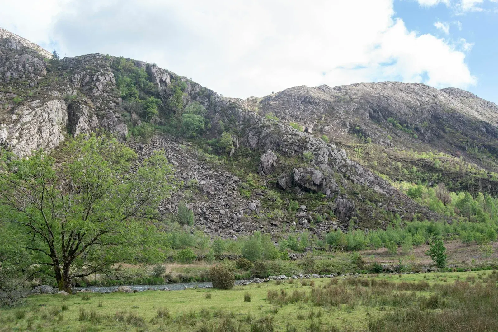 Rocky mountainside above a green valley and river